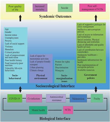 Frontiers | A Syndemic Perspective On The Management Of Non ...